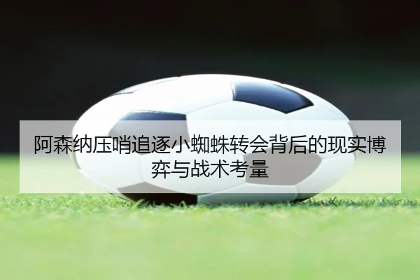 阿森纳压哨追逐小蜘蛛转会背后的现实博弈与战术考量